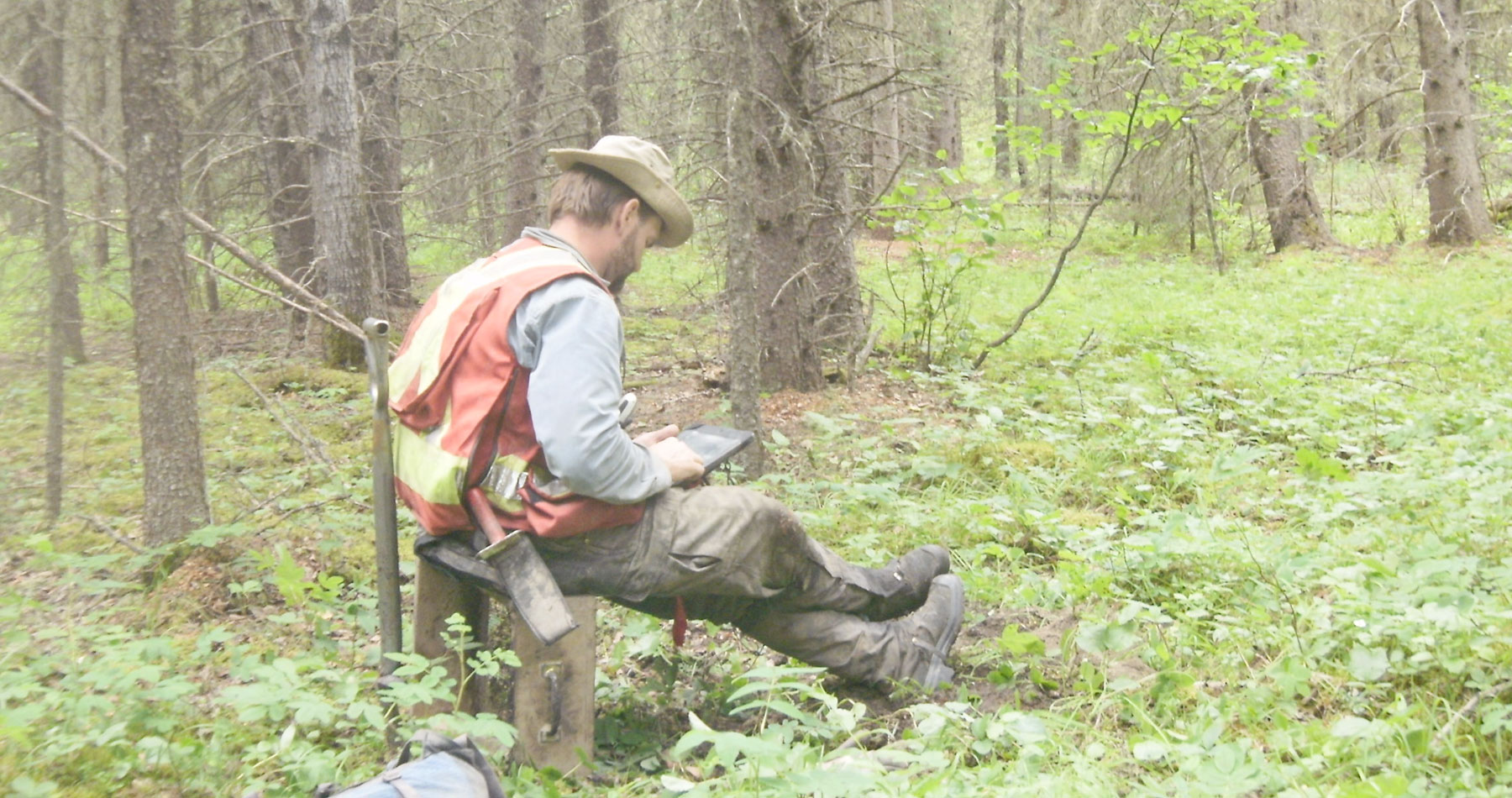 Archaeology jobs near me