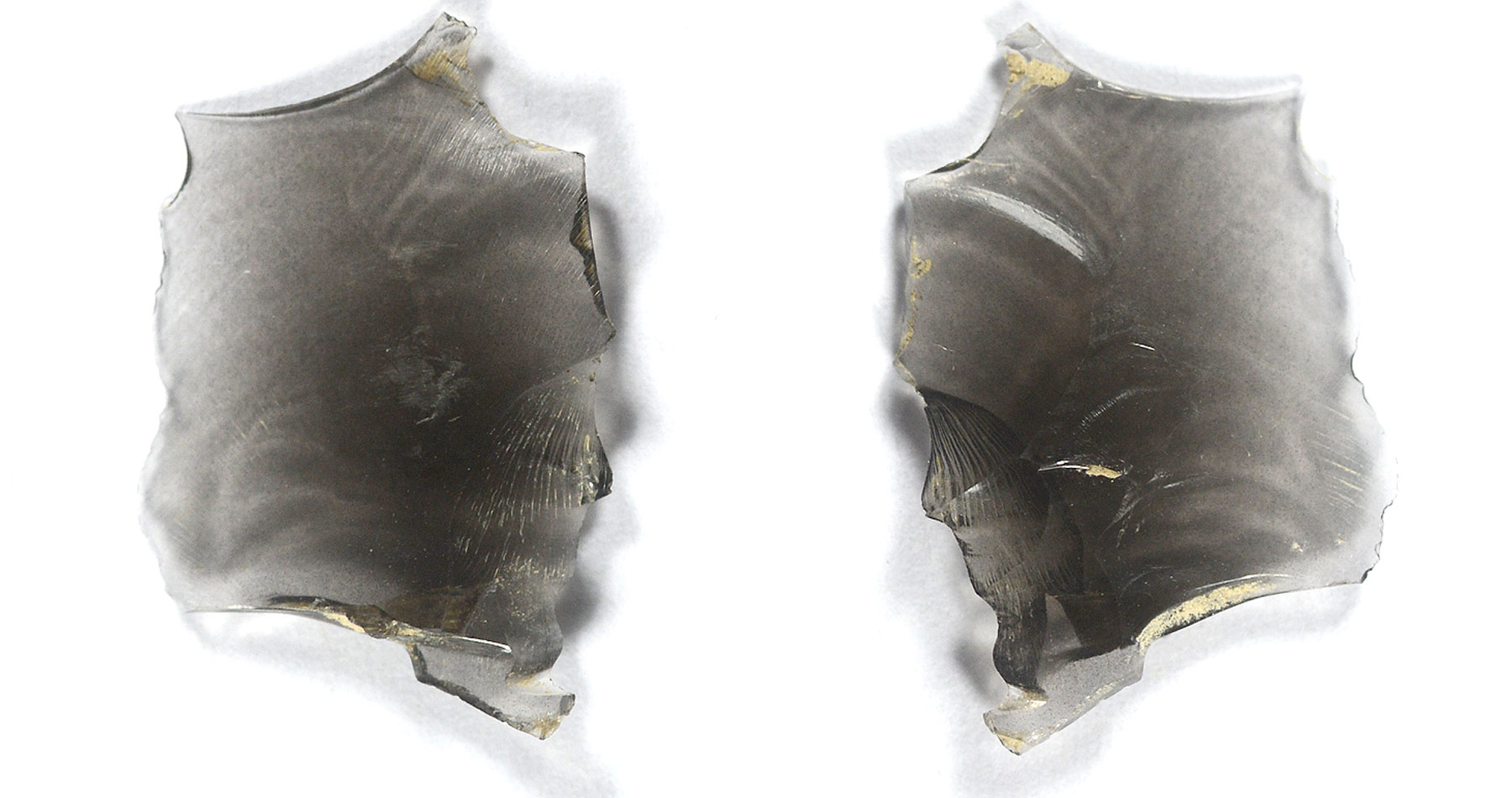 when did obsidian 1s come out