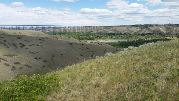 View from the top of the coulee, looking northeast over the valley where parts of the battle may have taken place (author’s photo). 