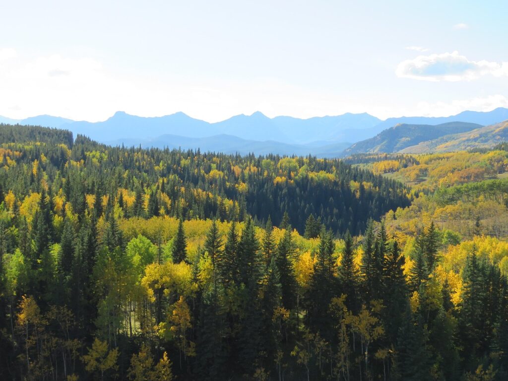 Landscape photo of Alberta's Eastern Foothills region.